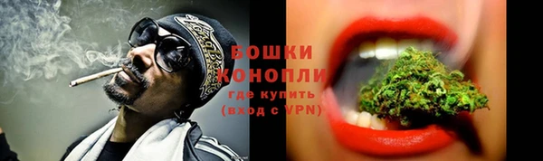 сатива Балабаново