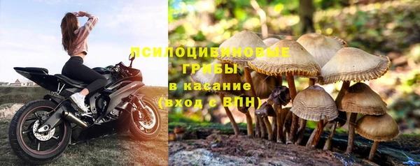 соль ск Балахна