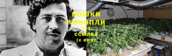 сатива Балабаново