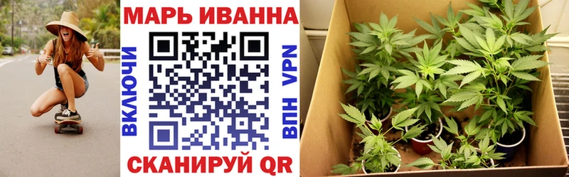 Шишки марихуана SATIVA & INDICA  нарко площадка формула  Буинск  где можно купить   гидра ТОР 